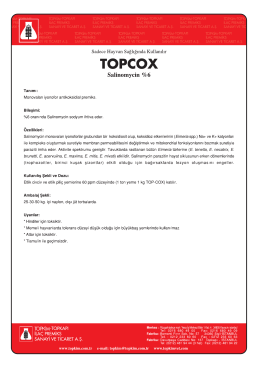 topcox internet Pros