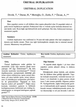 Tam Metin (PDF)