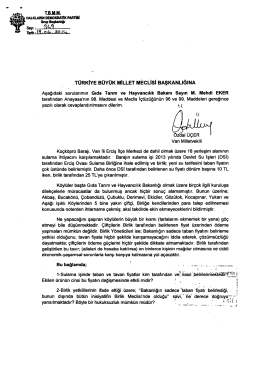 .17. mum - T&uuml;rkiye B&uuml;y&uuml;k Millet Meclisi