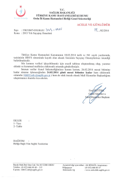 2013 Yılı Sayıştay Denetimi Hk. 19/02/2014