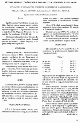 Tam Metin (PDF)