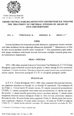 Tam Metin (PDF)