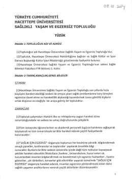 T&Uuml;RKİYE cUMHURİYETİ - Hacettepe &Uuml;niversitesi