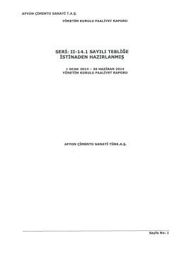 30/06/2014 Y&ouml;netim Kurulu Faaliyet Raporu