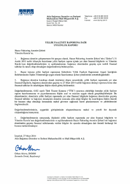 2013 Bağımsız Denetim Raporu G&ouml;r&uuml;ş