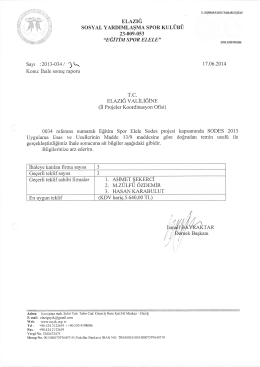 Şoförlü Yakıtlı Araç Kiralama (Sonuç)