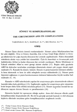 Tam Metin (PDF)