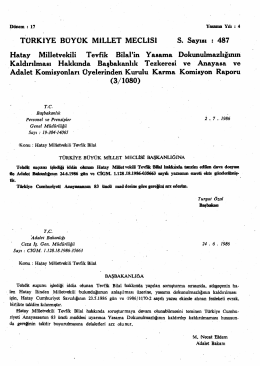 T&Uuml;RKİYE B&Uuml;Y&Uuml;K MİLLET MECLİSİ S. Sayısı : 487