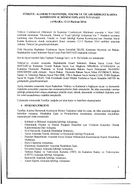 TURKİYE -KAMEaUN EKoNoMjK, TEKNİK vE TİCARİ işBiRLiĞi