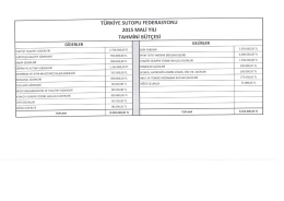 2015 MALİ YıLı