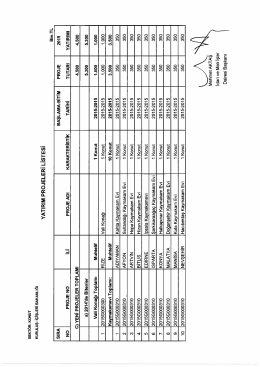 Vali Konağı ve Kaymakam Evleri