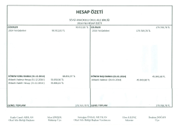 2014 Yılı Hesap &Ouml;zeti