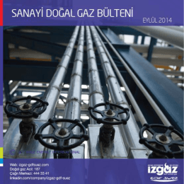 Sanayi Doğal gaz Bülteni Aralık 2014