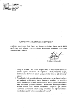 TURKİYE B&Uuml;Y&Uuml;K MİLLET ıvıEcLisi BAŞKANLIĞINA