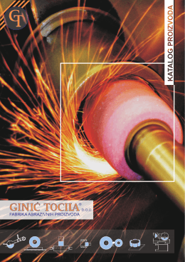 GINIĆ TOCILA – Katalog proizvoda, 2010
