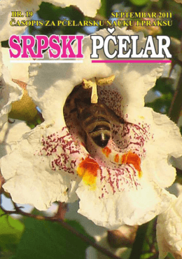 srpski pĉelar - Beekeeping Dragoslav