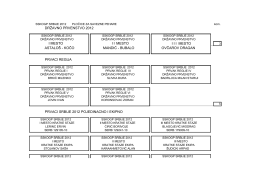 PLO-îICE 2012.pdf