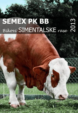 SEMEX PK BB