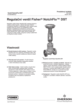 Regulační ventil Fisherr NotchFlo™ DST