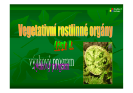 Vegetativni rostlinne organy - list.pdf