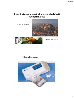 Chondrotissue - Přednáška - Mikulov