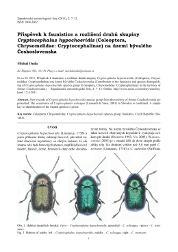 Coleoptera, Chrysomelidae: Cryptocephalinae