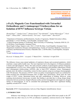 y-Fe 2 O 3 Magnetic Core Functionalized with Tetraethyl