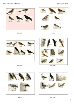 atlas ptáků text.notebook