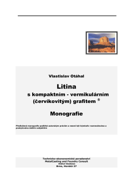Litina - OtahalConsult