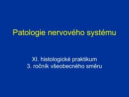XI. praktikum - Patologie nervového systému