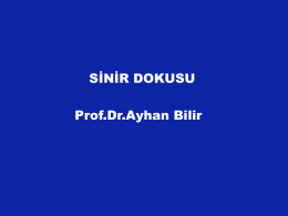 SİNİR DOKUSU Prof.Dr.Ayhan Bilir