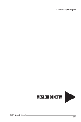Mesleki Denetim