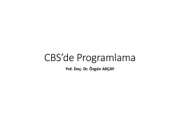 CBS`de Programlama