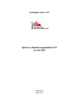 Správa o činnosti organizácie SAV za rok 2013