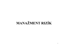 Manažment rizík