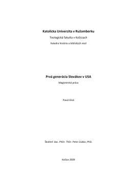 Celá Magisterská práca v PDF verzii