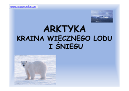 arktyka prezentacja
