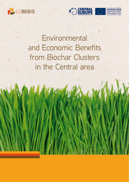 Environmental and Economic Benefits from Biochar