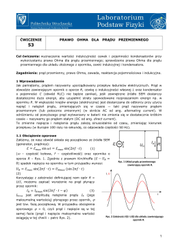Instrukcja detekcji tlenku węgla MZS