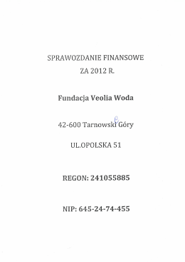 Sprawozdanie finansowe za rok 2013