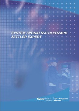 Funkcjonowanie rynku uzbrojenia w Polsce (PLog 2/2011)