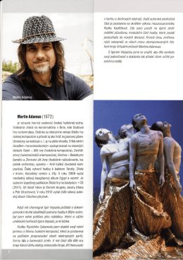 B&iacute;l&eacute; sny 2014 - Martin Adamus