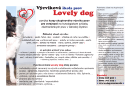 Lovely dog - Dog Rescue Slovakia
