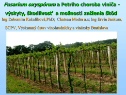 Fusarium oxyspórum a Petriho choroba viniča