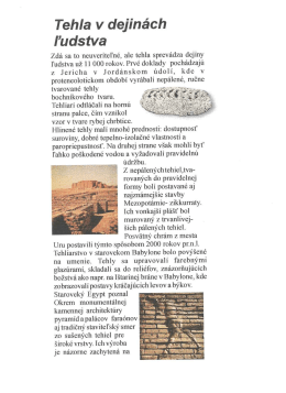 Tehla v dejn&aacute;ch ludstva /pdf