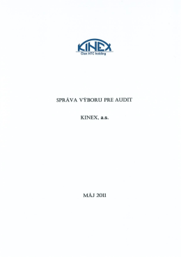 SPR&Aacute;VA V&Yacute;BORU PRE AUDIT