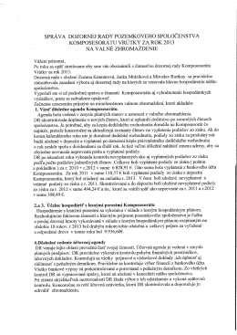Dozorná rada správa 2013