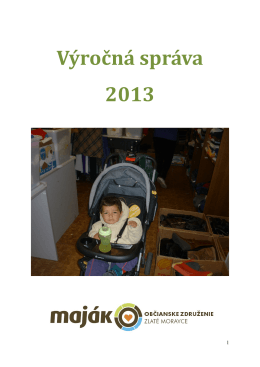 Výročná správa 2013