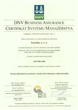 DN V BUSINESS ASSURANCE