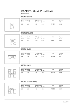 PROFILY - Modul 30 - drážka 6